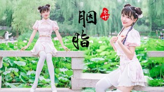 含情脉脉小清荷❀一点胭脂色【紫叶】