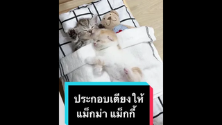เห็นแววเด็กแล้ว ใจฟูมาก ๆ
