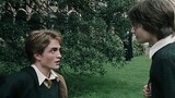 Harry Potter X Cedric Diggory