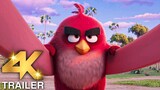THE ANGRY BIRDS MOVIE 3 Teaser Trailer (4K ULTRA HD) 2025