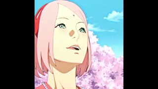 sakura vs sarada