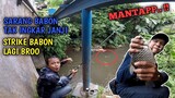 SARANG IKAN TAWES BABON.. TAK PERNAH INGKAR JANJI