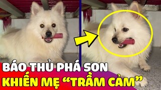 Con sen 'BẤT LỰC' nhìn cây son bị 'CÚN CƯNG' của mình mang đi mà không làm được gì 😅 Gâu Đần