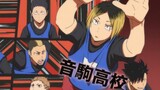 [Cooked Meat/Volleyball Mini Horse Catching] Cat Team-Tiger Yamamoto’s Search for a Female Manager