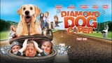Diamond Dog Caper // Full Family Comedy Movie // Dog Lover 😍😍