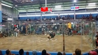 Imus new cockpit arena 2nd fight win november 11 2023 duoble champion 2 hits WWWW receod
