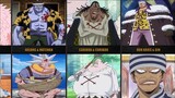 One Piece Captains and Their First Division Commanders