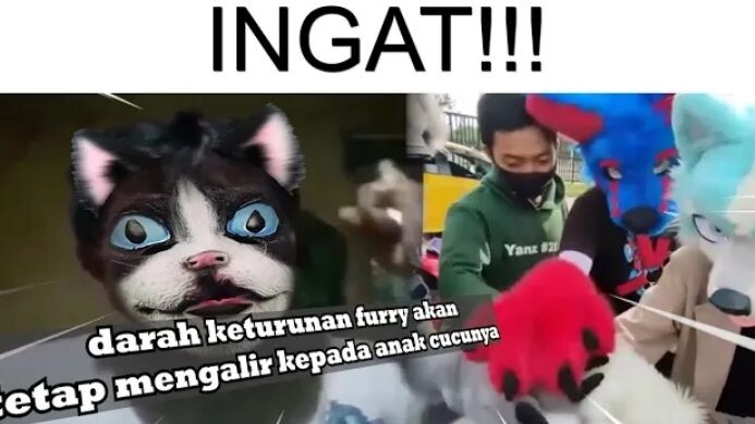 Darah keturunan Furry akan mengalir kepada anak cucunya dan dia akan terus SOLID