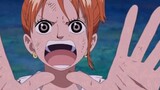 One Piece Nami said she was a man, and Chopper believed it