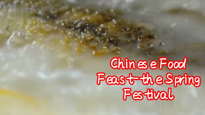 Chinese Food Feast-the Spring Festival 