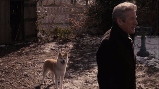 Hachiko A Dogs Story-Based in a true Story Originally from Japan