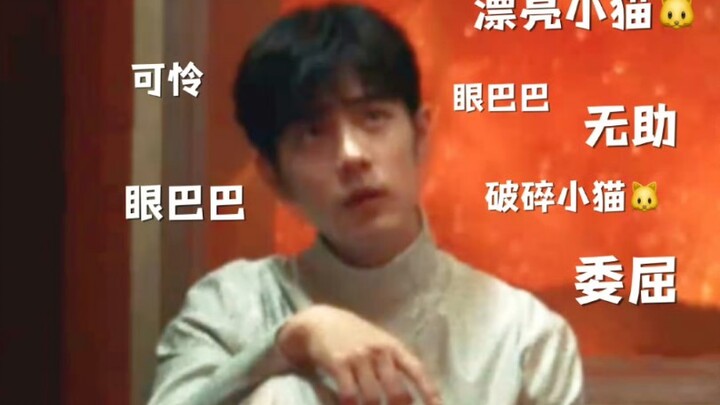 可怜小猫下手也是快准狠的