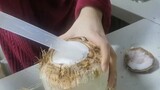 Rekaman video langka manusia melakukan operasi caesar pada kelapa