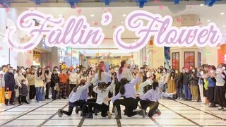 震撼克拉应援！绝美路演 | 次粉翻跳天花板 SEVENTEEN -《舞い落ちる花びら(Fallin' Flower)》翻跳路演