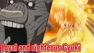 Loyal and righteous Gyuki
