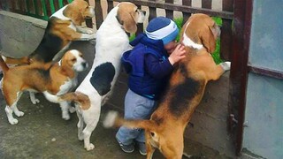 Wanna Laugh All Day Long Today? Watch this video!!! | Pet Squad