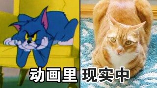 《猫和老鼠》神还原母鸡蹲！纪录片实锤对比