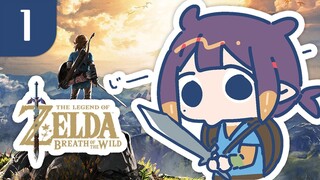 【BOTW】 From Zako to Tako 【#1】
