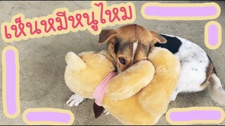 โลกของแสนดี ตอน เห็นหมีหนูไหม!