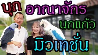 บุกอาณาจักรนกแก้วมิวเตชั่น X Me and Parrots EP.157