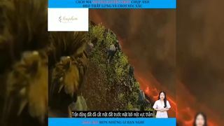 Review phim: gia đình nhà croods p6 #phimhaymoingay