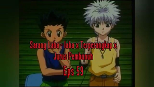 hunter x hunter 1999 volume 30