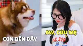 Ngáo Gia Gia | Có Con Ở Đây ~ Đố Ai Dám Đụng Đến Mẹ 😎 Phần 5 | Gâu Đần Official