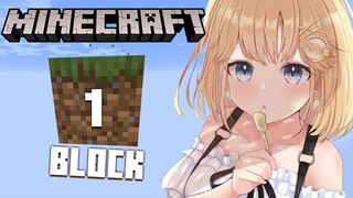 【Minecraft】1 BLOCK 1 AME