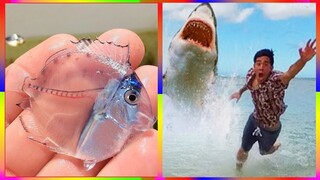 Catching Seafood 🦀 ASMR Relaxing (Catch Shark , Catch Fish ,Deep Sea Monster ) #531