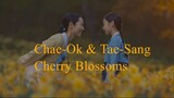 Chae-Ok & Tae-Sang - Cherry Blossoms