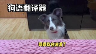 狗语翻译机什么原理谁能科普科普