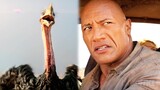 The Rock challenges enraged ostriches | Jumanji: The Next Level | CLIP 🔥 4K