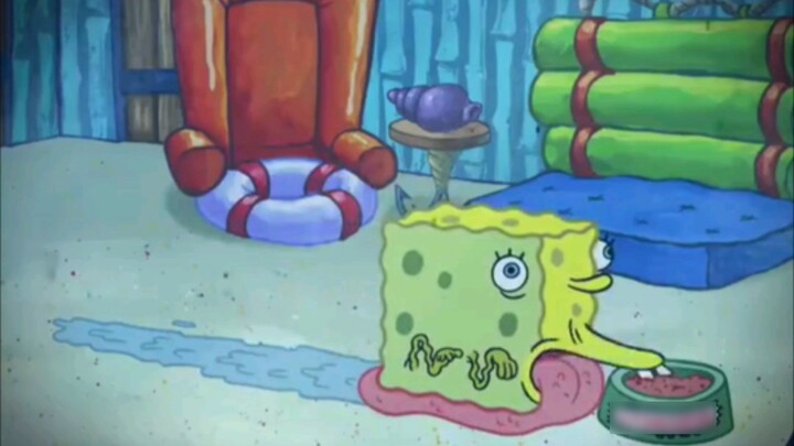 "Quần vuông SpongeBob"