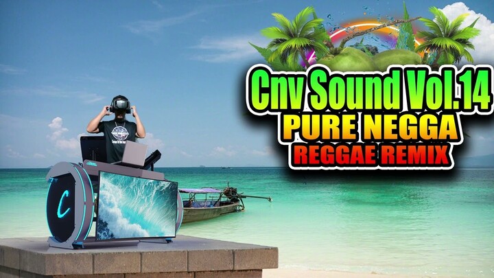 Cnv Sound Vol. 14 (Reggae Remix) PURE NEGGA - Dj Jhanzkie 2023 Tiktok Viral