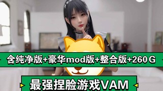 最强捏脸游戏VAM【虚拟实境世界】含纯净版+豪华mod版+整合版+260Ｇ