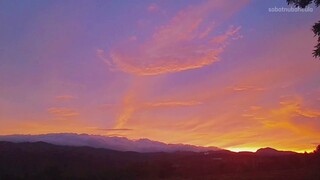 VIDEO FOOTAGE LEMBAYUNG SENJA TERINDAH DI ATAS KEBUN TEH DESA GAMBUNG KAB BANDUNG