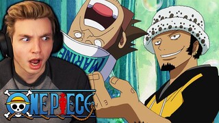 LAW'S POWER REVEALED!! (One Piece Reaction)