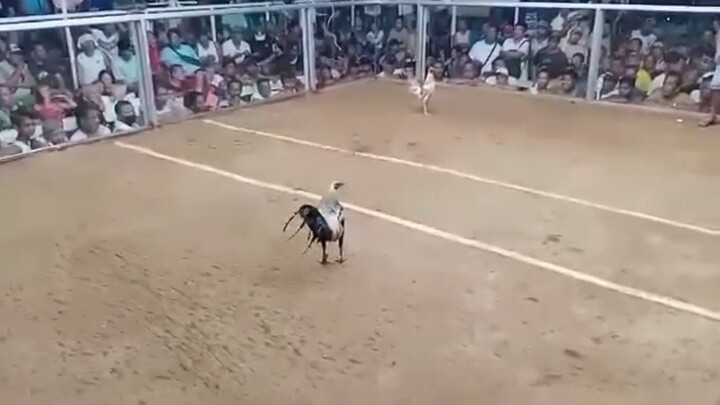 Win