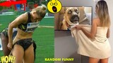 Random Funny Videos |Try Not To Laugh Compilation | Cute People And Animals Doing Funny Things #P76