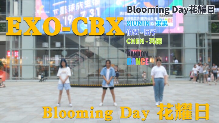 【商场大跳 花耀日】众人围观最强应援EXO-CBX Blooming Day