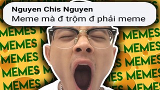 PHÔ MAI NGUYỄN DRAMA, STOLEN MEMES và OC