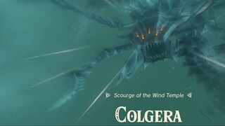 Colgera The Scourge of the Wind Temple - The Legend of Zelda: Tears of the Kingdom