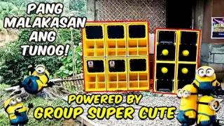Group Super Cute | MINIONS MINI Sound of Antique | SoundAdiks