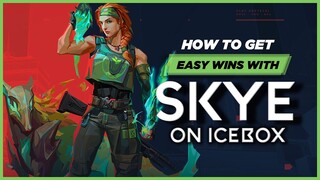 HOW TO DOMINATE ICEBOX WITH SKYE | FLASH LINEUPS GUIDE