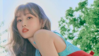 【TWICE】แฟนๆ อินส์~