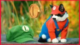 Super Mario Cat Bros. 😻