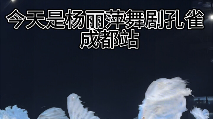 成都站-杨丽萍舞剧孔雀
