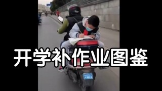 开学补作业图鉴