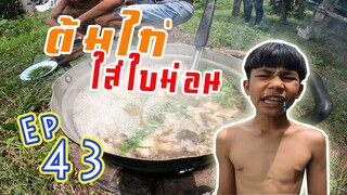 เชฟเรียว : Ep 43  เมนู ต้มไก่ ใส่ใบหม่อน  ซดน้ำเเซ่บขนาด!!
