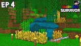 สร้างฟาร์มข้าวจากน้ำตกครั้งแรกของโลกมายคราฟ! เอาชีวิตรอด SwanseaSurvivor #4 | Minecraft Pe
